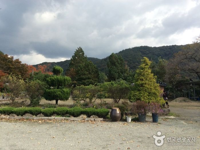 황토와 들꽃세상3