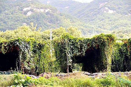 수리봉외가집민박1