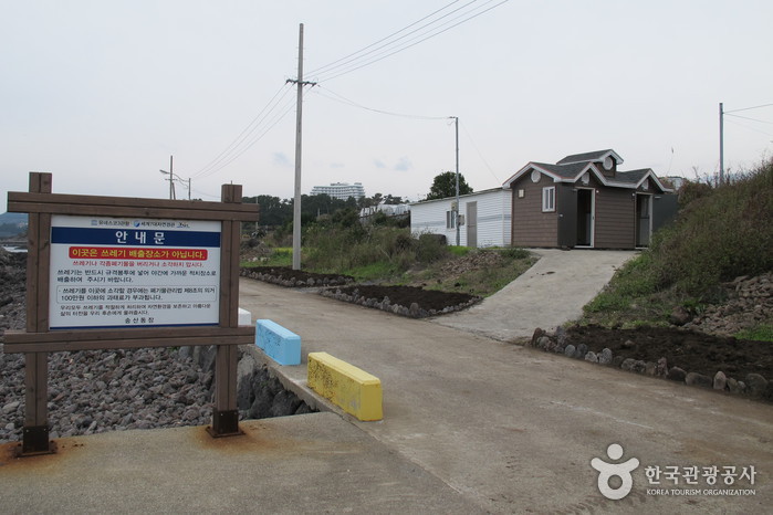 [제주올레 6코스] 쇠소깍-서귀포 올레2