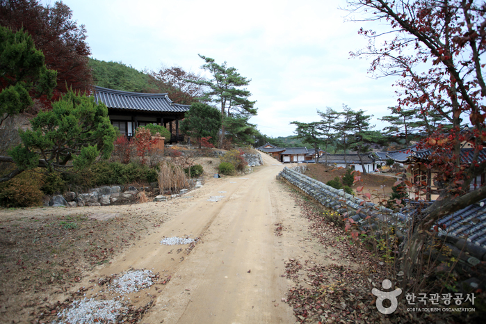 Gunja-Dorf Andong (Historische Stätte Ocheon) (안동 군자마을(오천유적지))