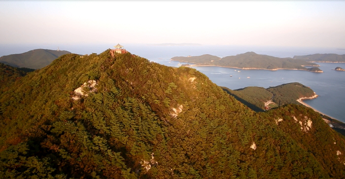 德积岛芦苇生态群落덕적도 갈대 군락지1