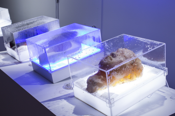 아티언스 대전 20189