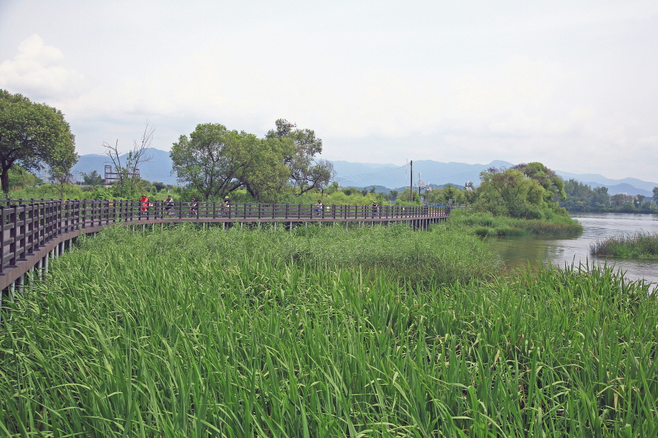 북한강을 끼고 있으며, 북한강자전거길이 인접한 쟁강협동조합은 자전거 투어를 비롯해 다양한 프로그램을 운영한다.