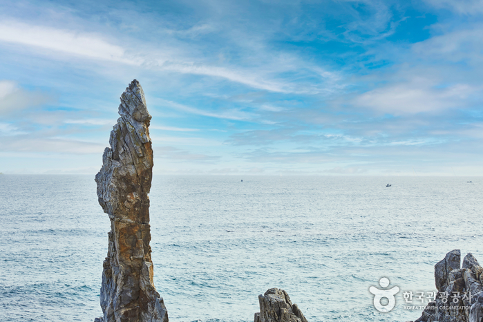 삼양라운드힐 (구, 대관령 삼양목장)6