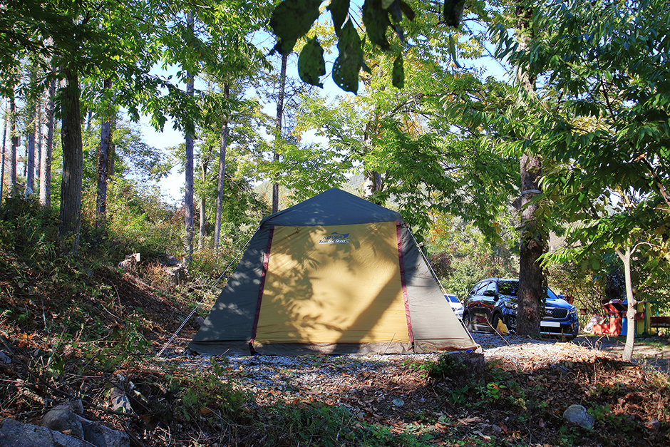 청량산 나무네숲 캠핑장