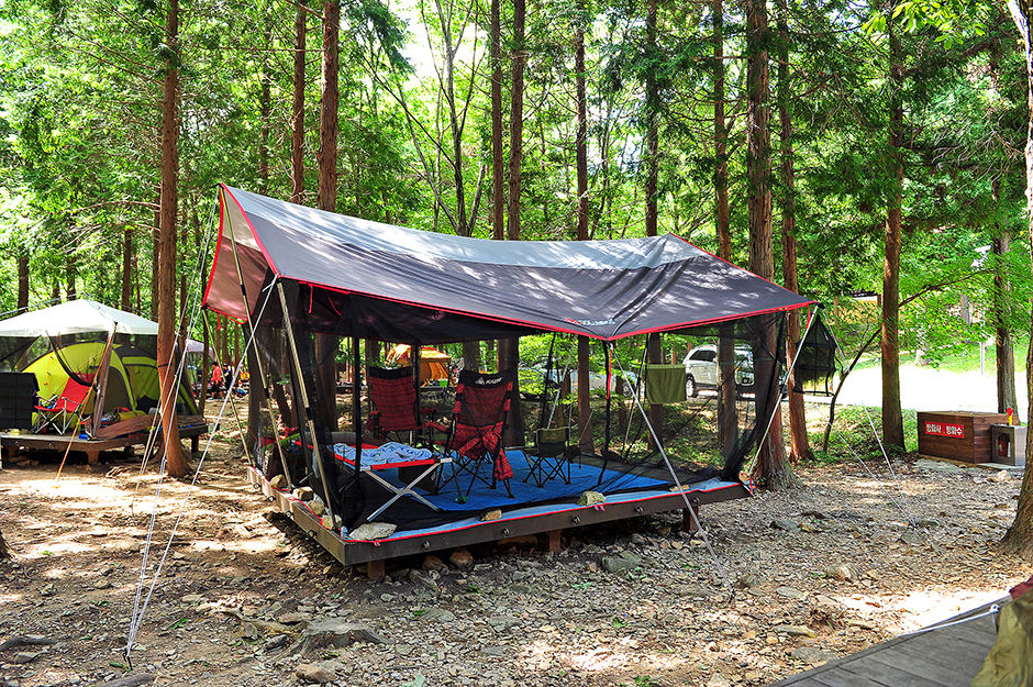국립남해편백자연휴양림3