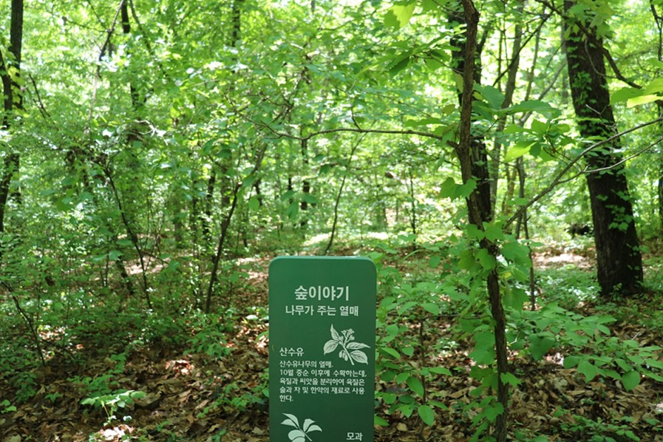 수지생태공원