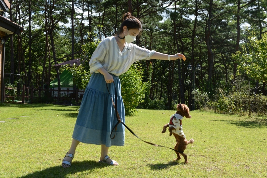 한반도 솔숲쉼터_10