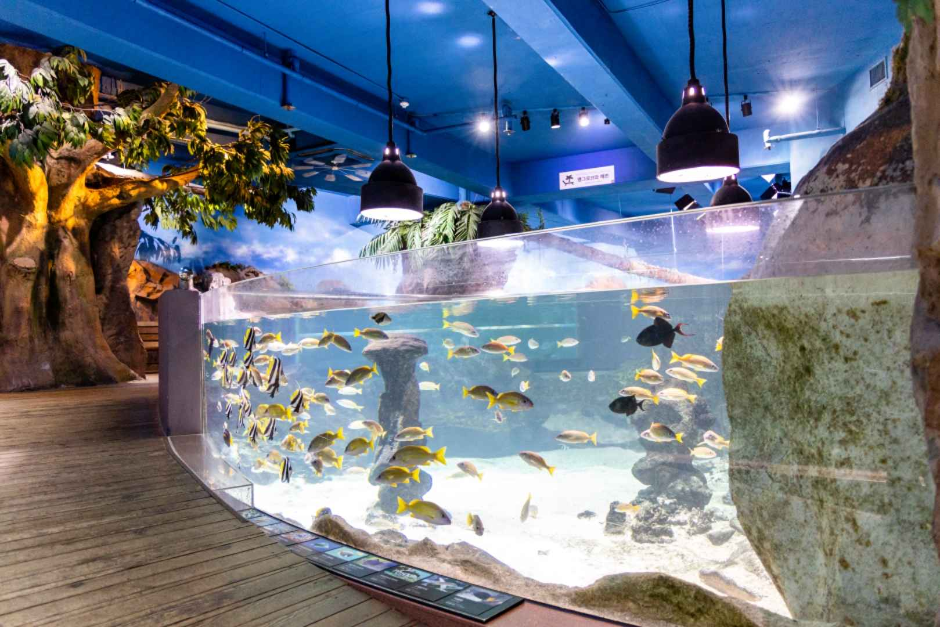 Aquarium du COEX (코엑스 아쿠아리움)