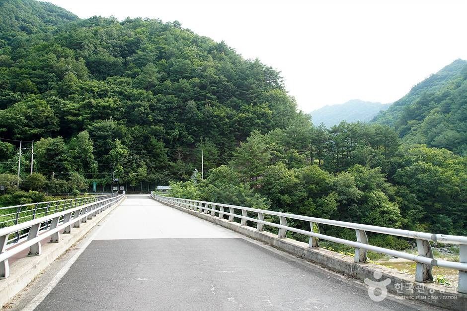 인제 미산리 개인약수 (04)