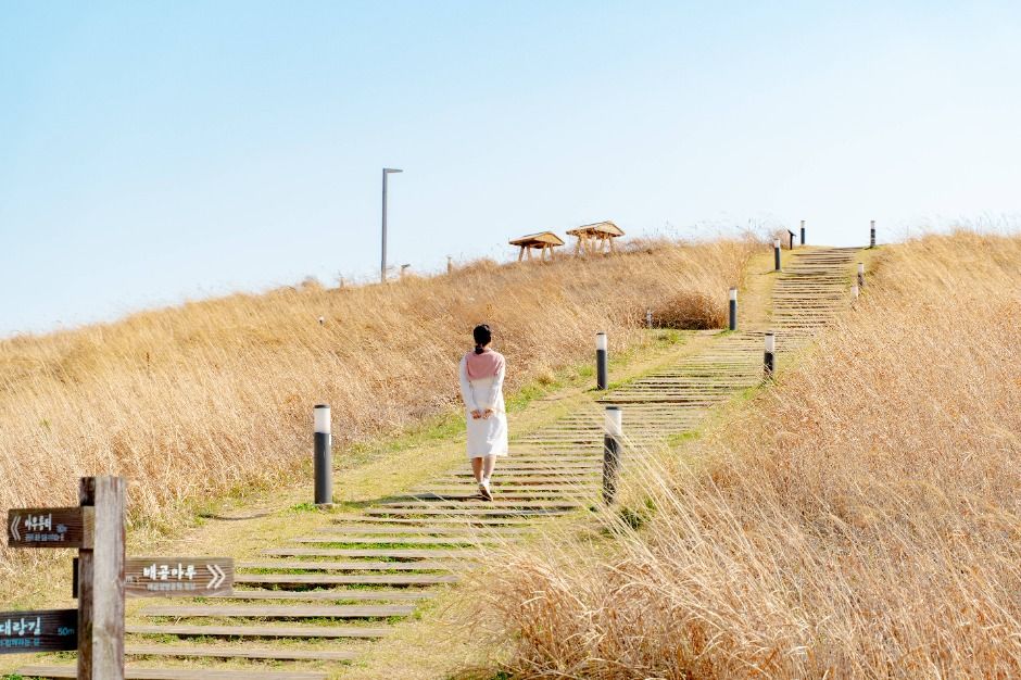 배곧생명공원
