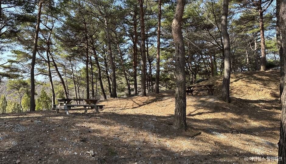 에덴힐스 힐링파크