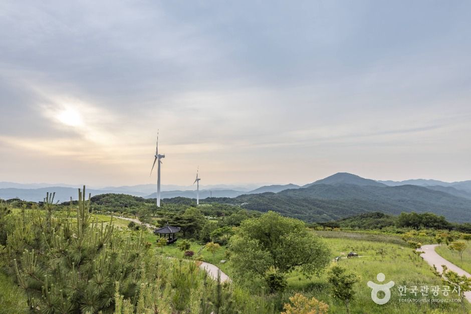 경주_경주 풍력발전(바람의언덕) (15)