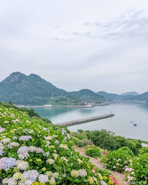 힐링파크 쑥섬쑥섬(애도)