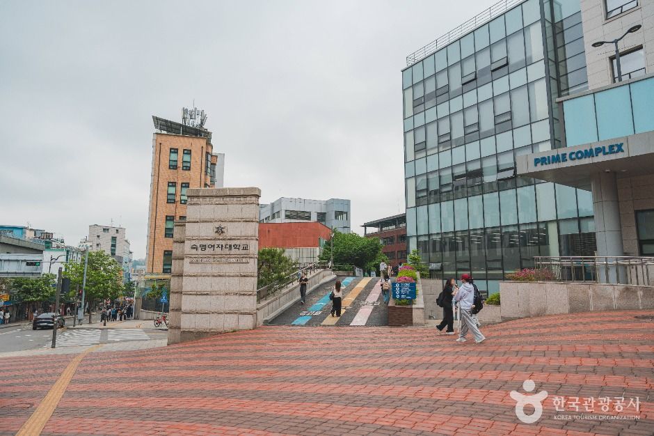 숙명여자대학교 정영양자수박물관