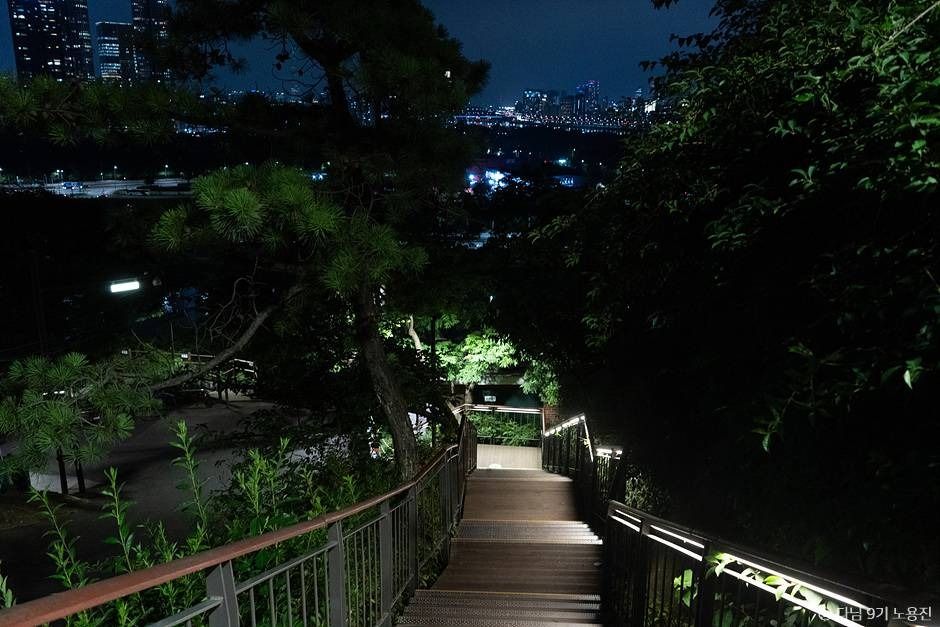 응봉산(서울)