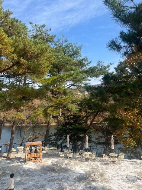카페 고래호수