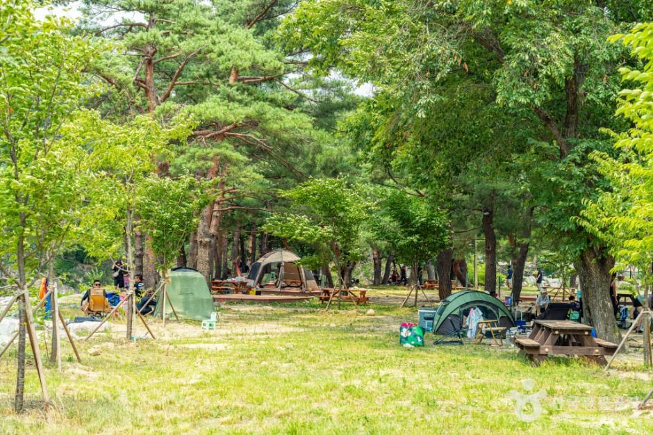 장신유원지