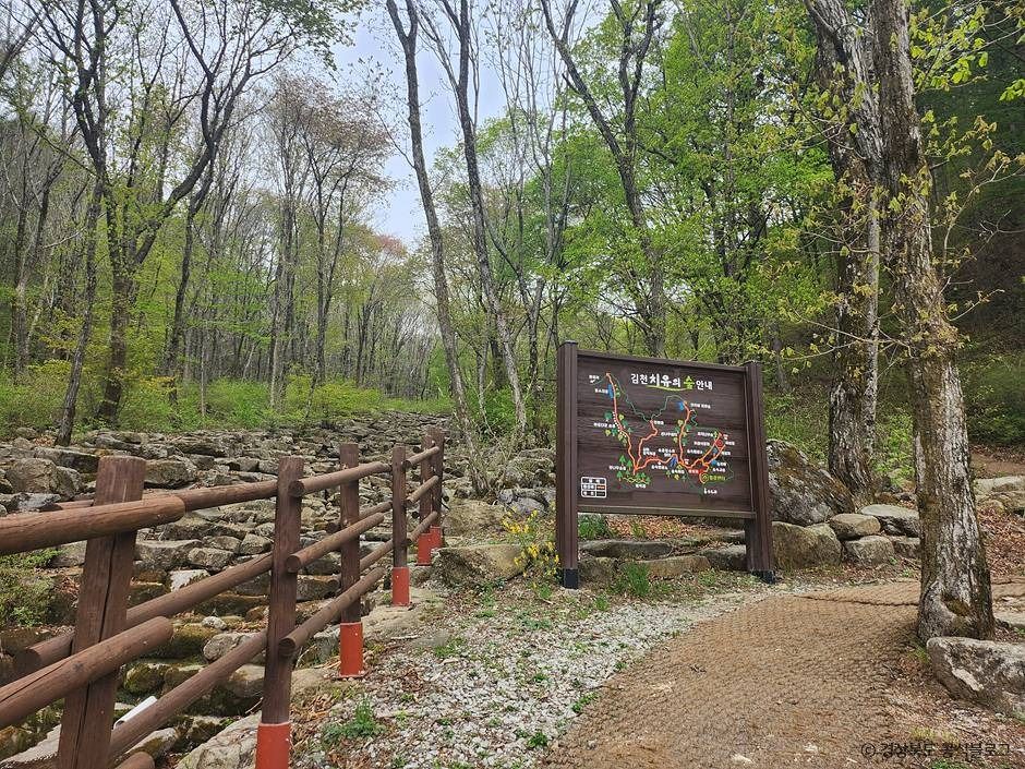 국립김천치유의숲