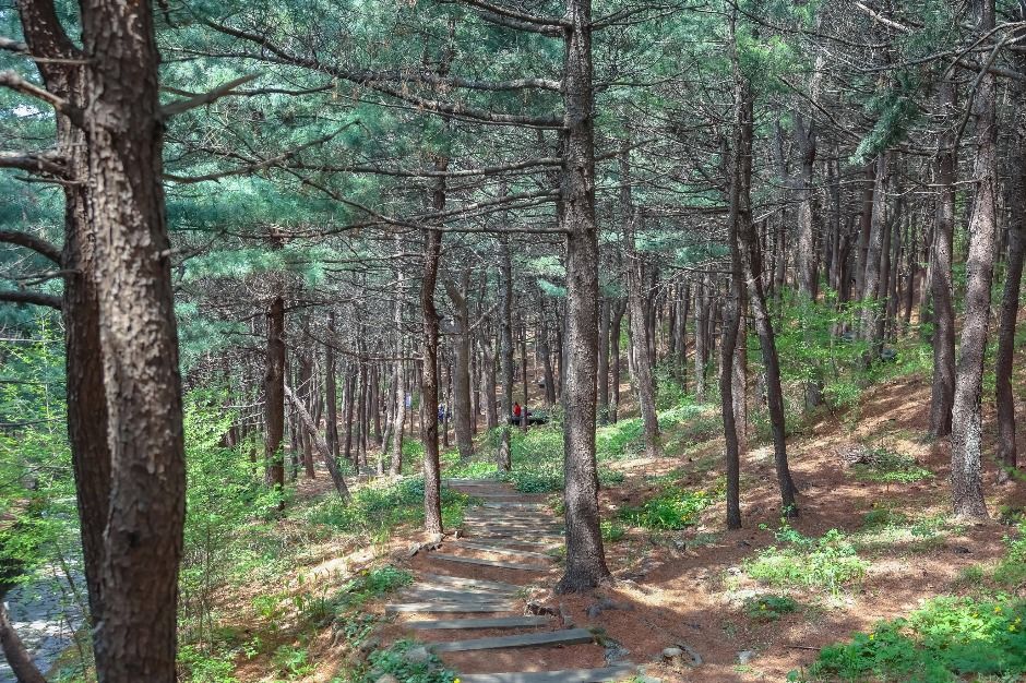 thumbnail-[서울둘레길 12코스] 호암산코스-13