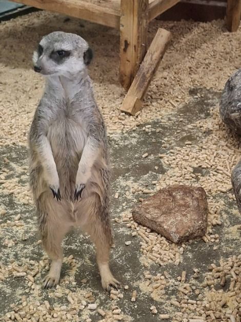 thumbnail-쥬라리움 파주점-11