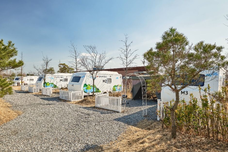 파주_평화누리캠핑장 (1)
