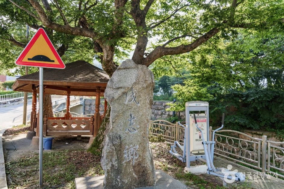 춘양목송이 정보화마을