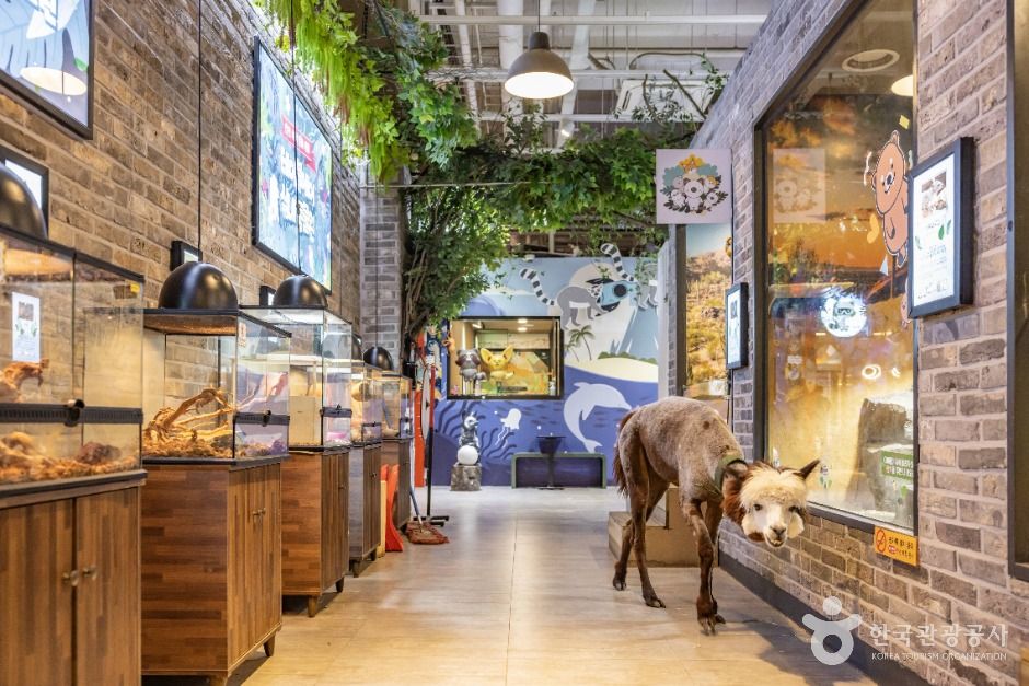 thumbnail-테이블에이 앤 로우캣-7