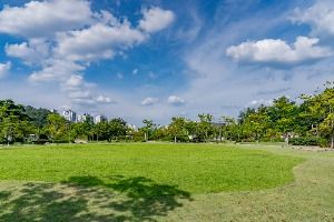 기흥레스피아호수공원