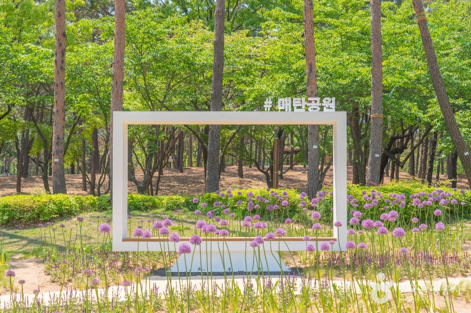 매탄공원