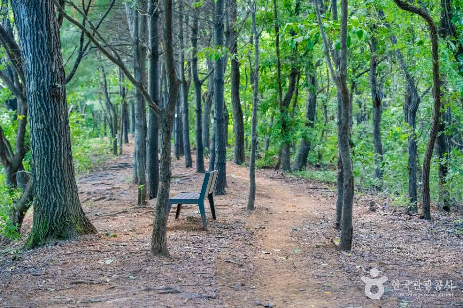 thumbnail-하길체육공원-7