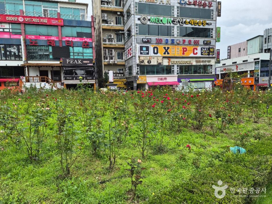 장미공원