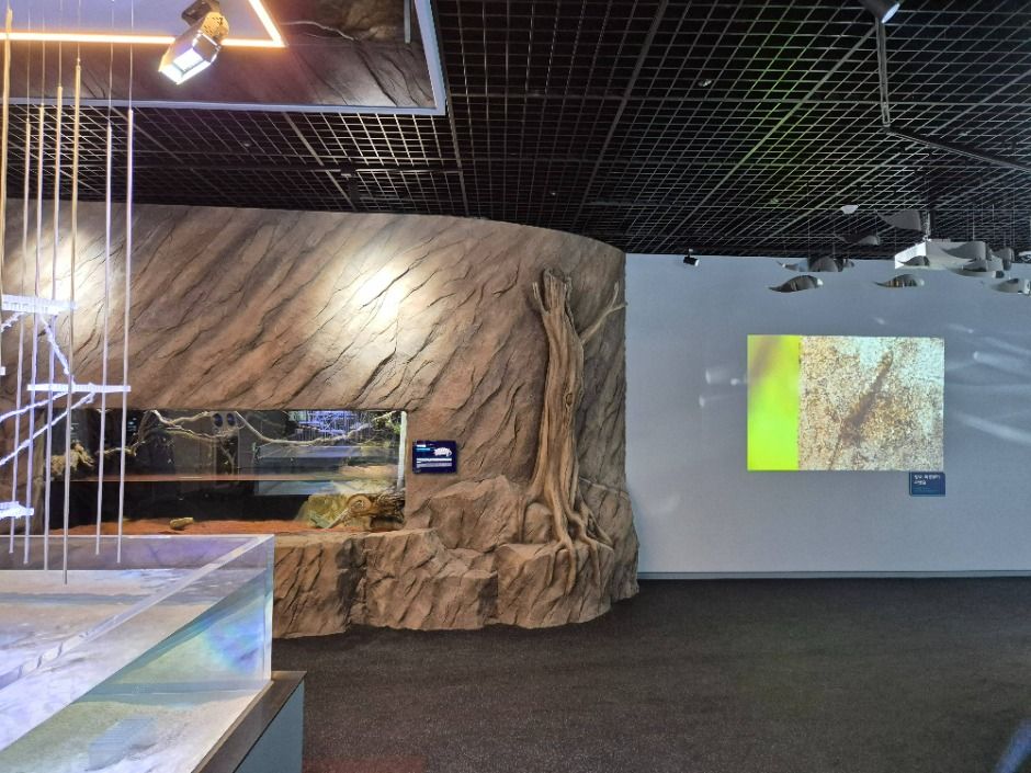 단양 다누리아쿠아리움