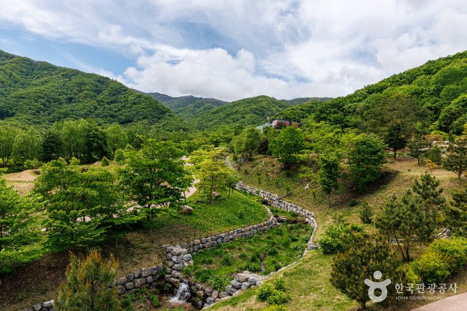 국립DMZ자생식물원