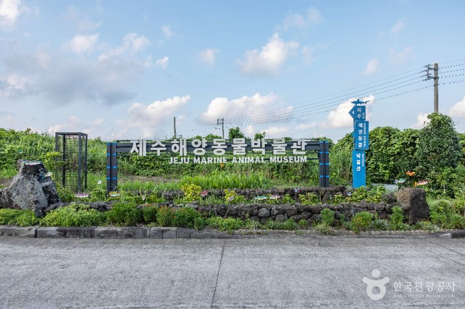 제주해양동물박물관