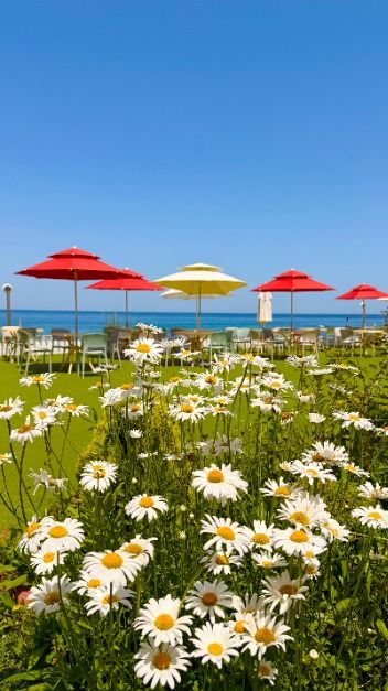 thumbnail-바다정원-11