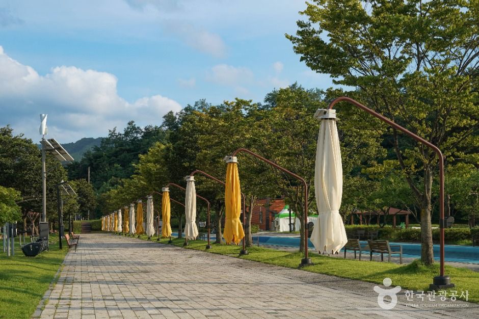 thumbnail-행구수변공원-5