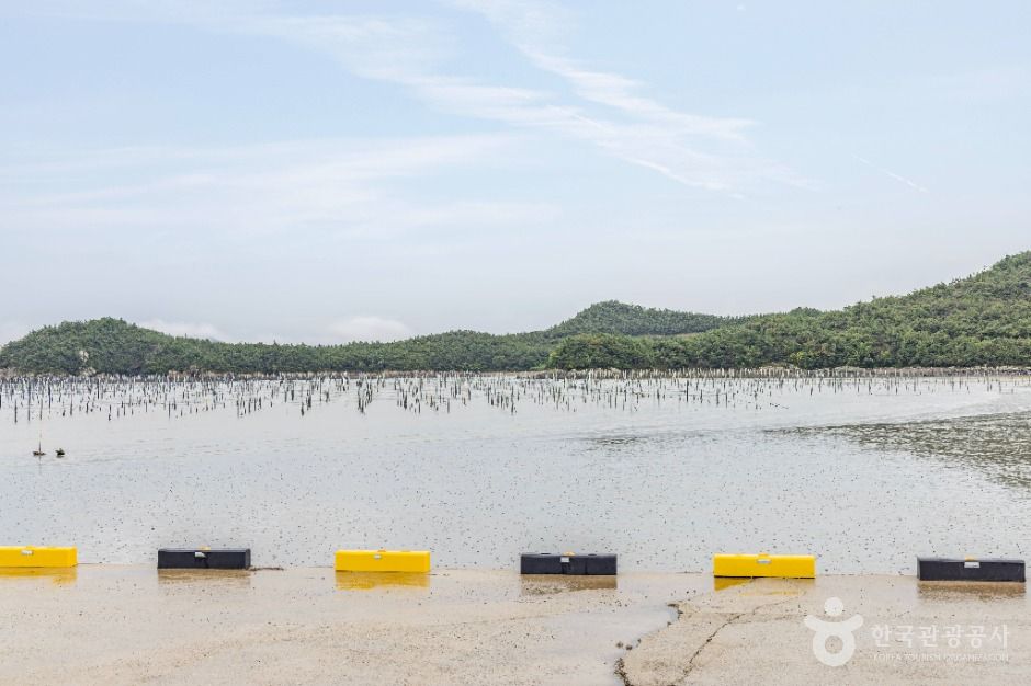 자은고교여객선터미널