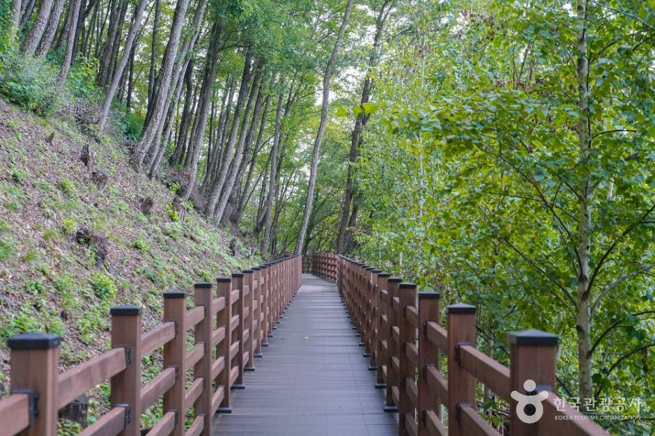 thumbnail-와룡자연휴양림-5