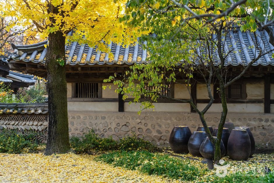 용인_한국민속촌 (7)