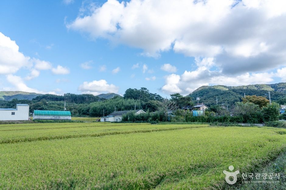 남당리 행복마을