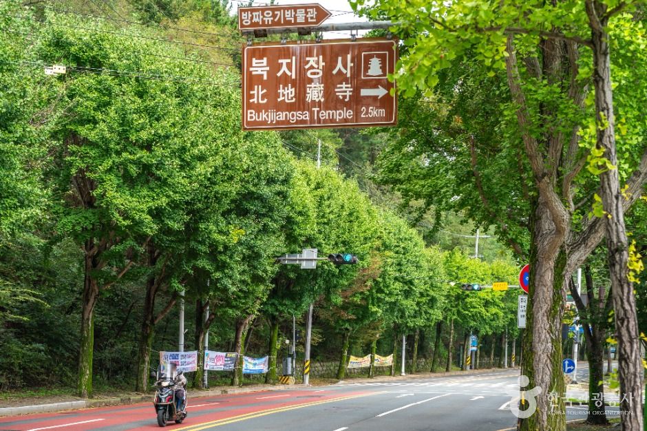 대구_[대구올레 팔공산 1코스] 북지장사 가는길 (3)