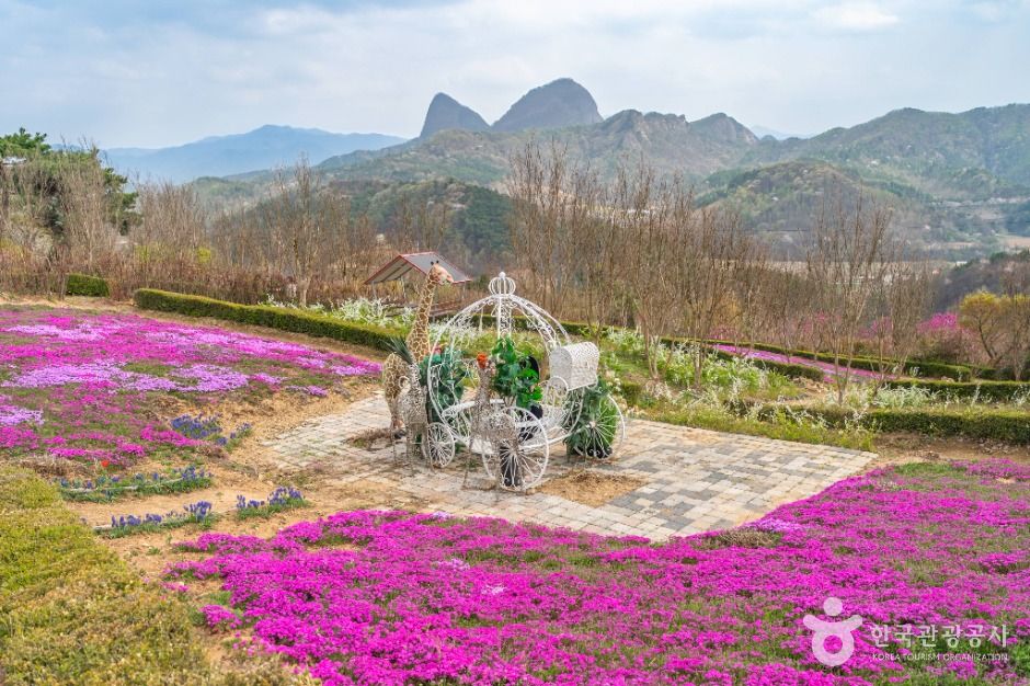 진안 꽃잔디동산