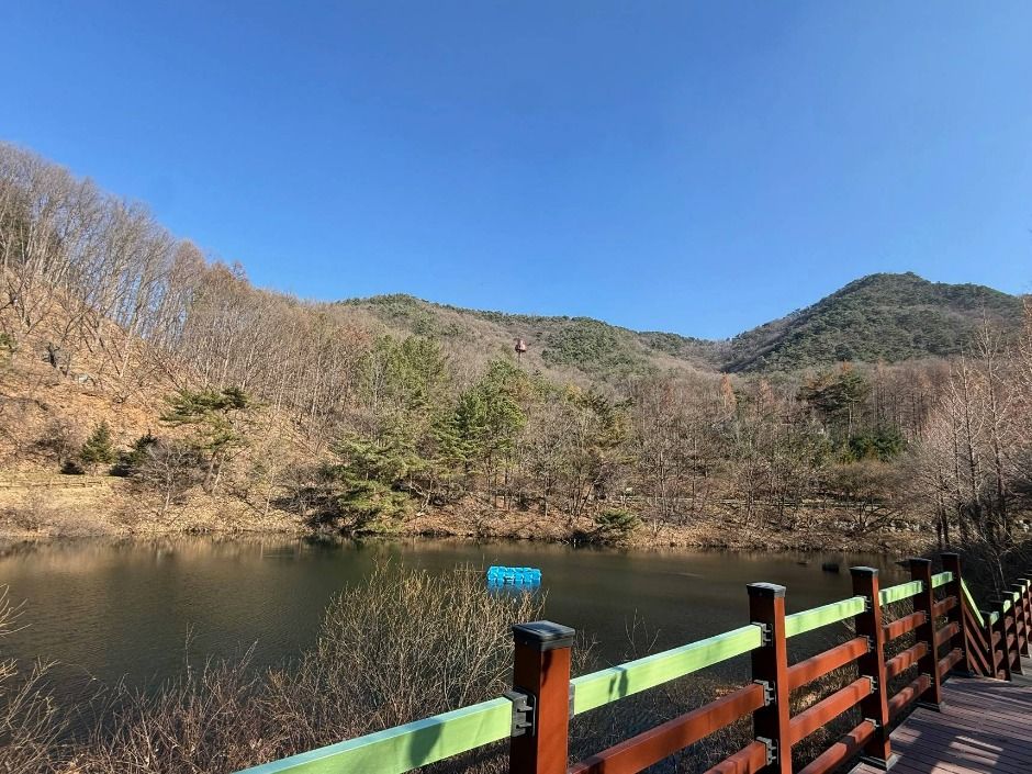 thumbnail-충북알프스자연휴양림-1