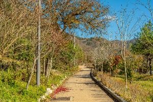 화순_세량지 (9)