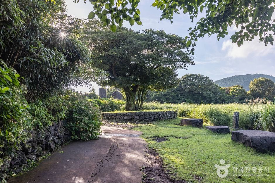 제주_제주돌문화공원 (1)