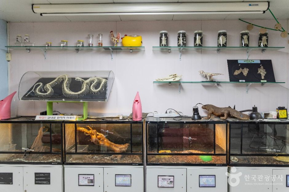 서울_한생연 생명과학박물관 (6)