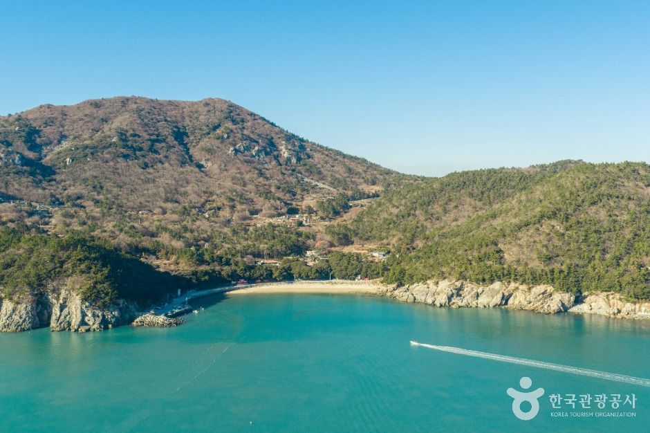 완도_가사동백숲해변 (4)