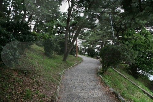 송정 죽도공원7