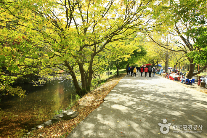 선운산도립공원 사진28